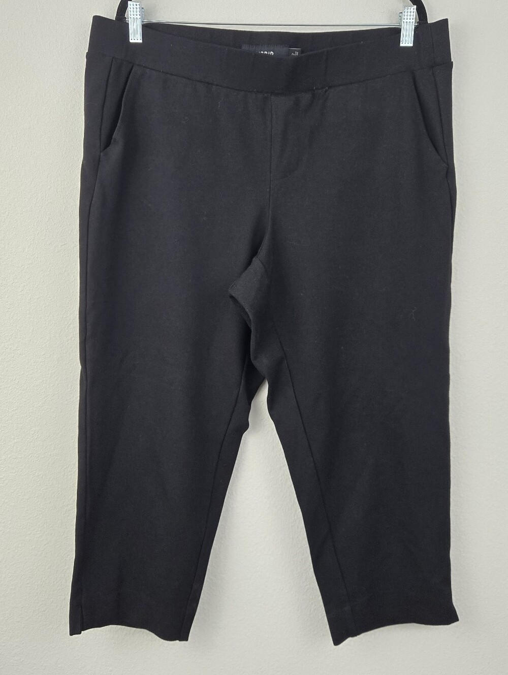 Black Torrid Stretchy Pants